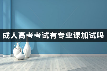 成人高考考试有专业课加试吗