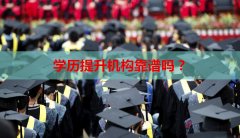 学历提升机构靠谱吗?