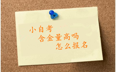 小自考含金量高吗