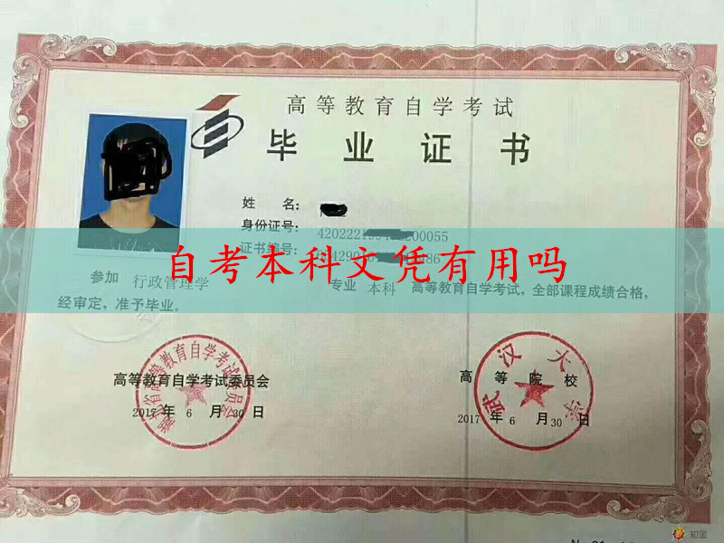 自考本科文凭有用吗
