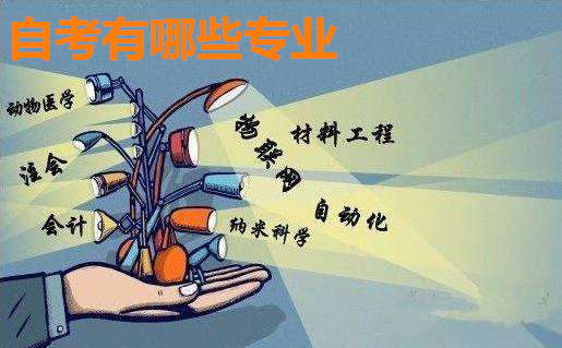 自考有哪些专业