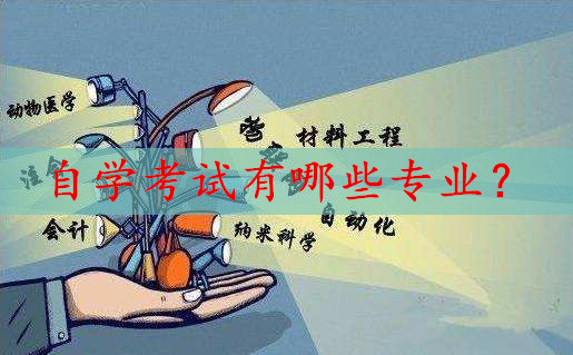自学考试有哪些专业