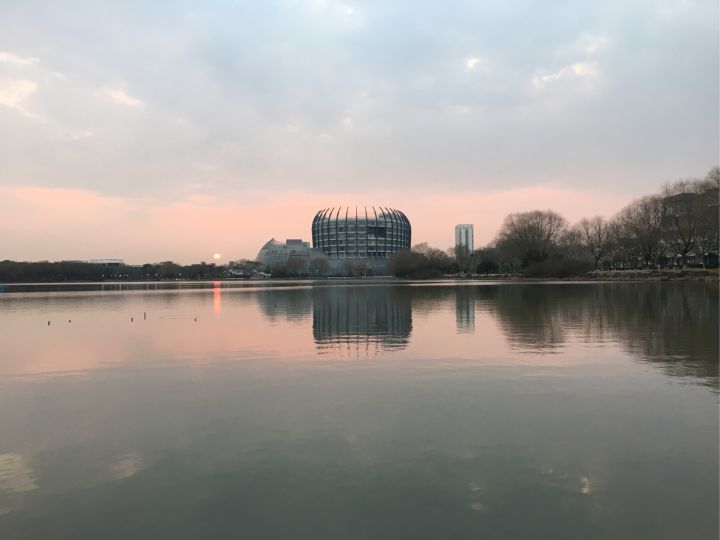 东华大学