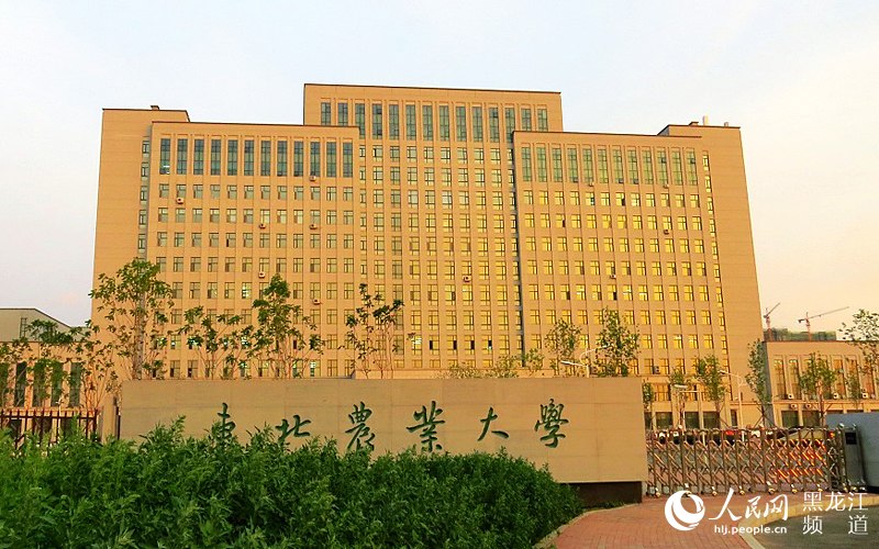 东北农业大学