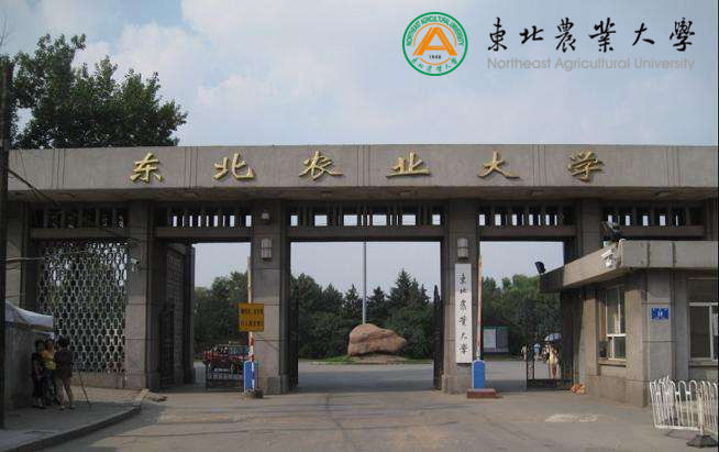 东北农业大学