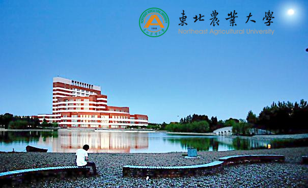 东北农业大学