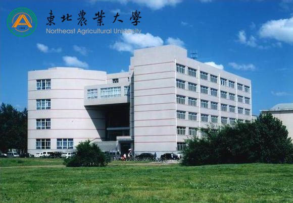 东北农业大学