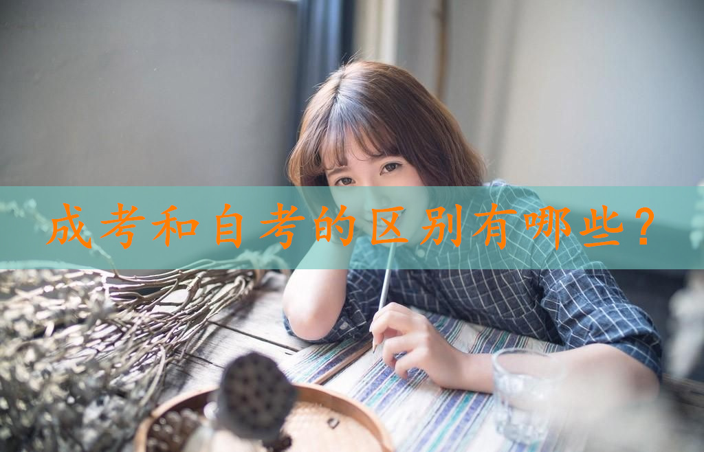 成考和自考的区别