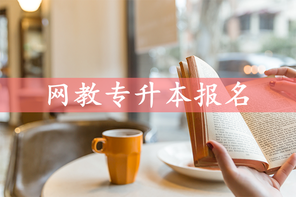 网教专升本报名