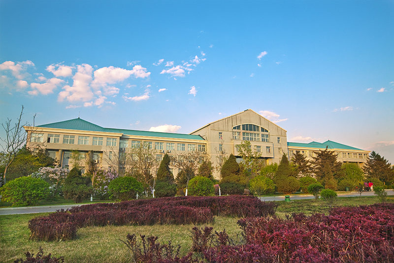 沈阳大学