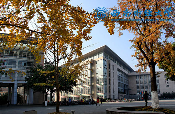 西南财经大学