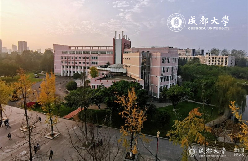 成都大学