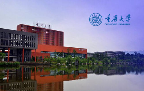 重庆大学