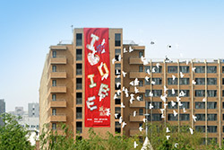 对外经济贸易大学