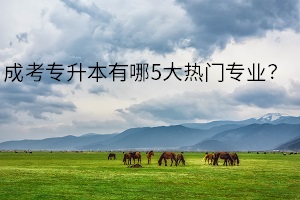 成考专升本有哪5大热门专业？你想好选择什么专业了吗？