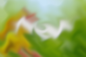 过来人告诉你，其实成人专升本语文并没有那么难