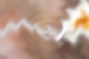 写好说明文需注意哪些问题？首要是注意观察
