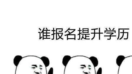 成人高考报名流程详情