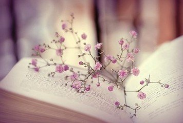 电大专科学历有什么用