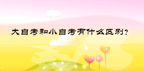 大自考和小自考有什么区别