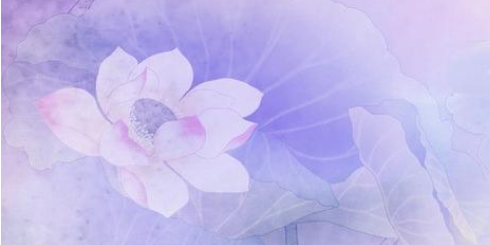 自考本科哪个机构好一点