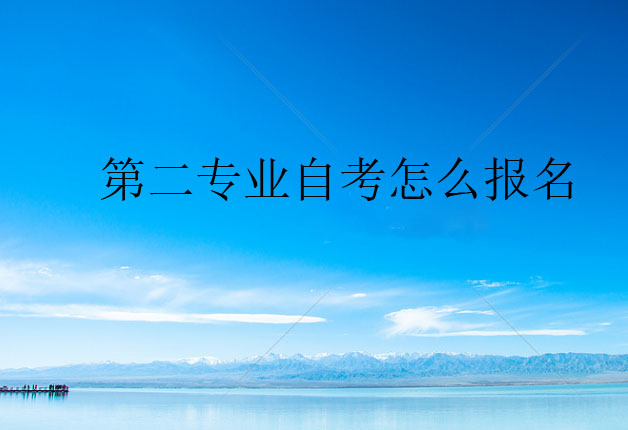 第二专业