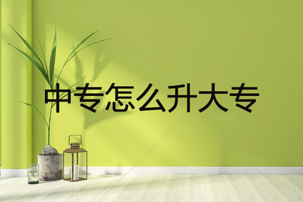 中专怎么升大专