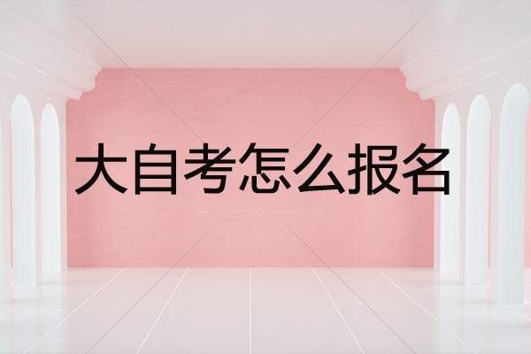 大自考怎么报名