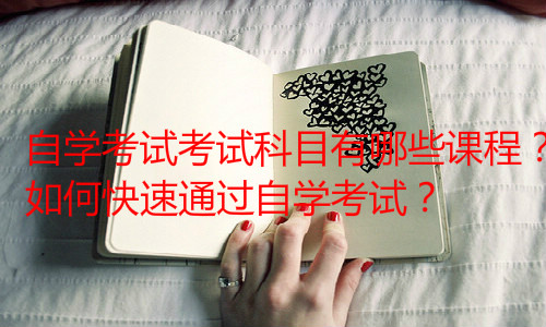 经验：自考人力资源管理本科科目，一共多少门？