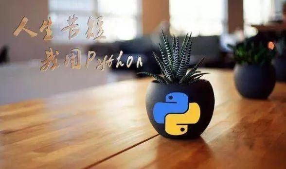 初学者来说到底是先学C还是先学Python_www.epx365.cn