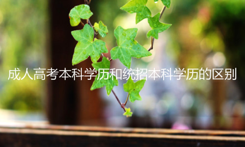 成人高考本科学历和统招本科学历
