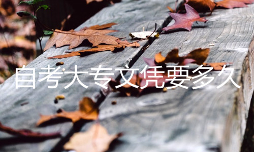 自考大专文凭要多久