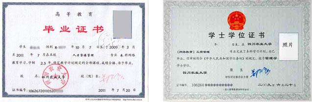 证书样式