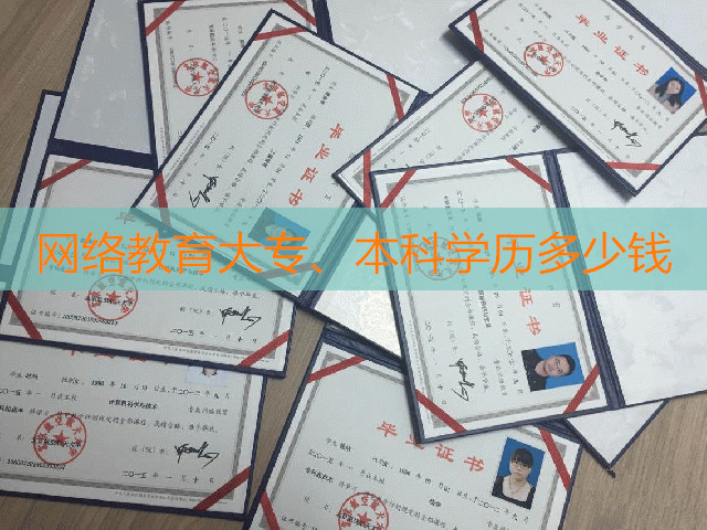 网络教育多少钱