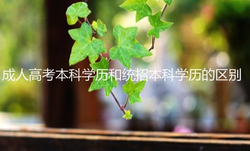成人高考本科学历和统招本科学历有什么区别吗？