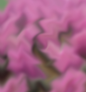 积极应对考试前的心理焦虑和不自信，助你轻松取得成考高分