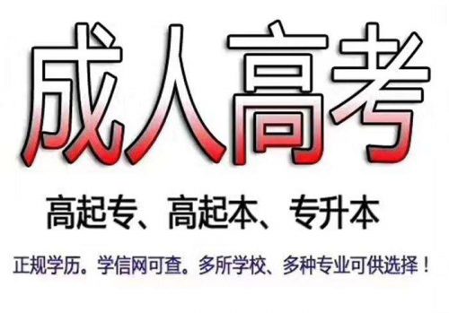 深大成人本科多少钱？报考的条件及流程是怎样的？