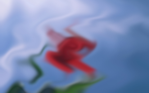 成考数学科目应该怎么复习？当然还是做题是关键