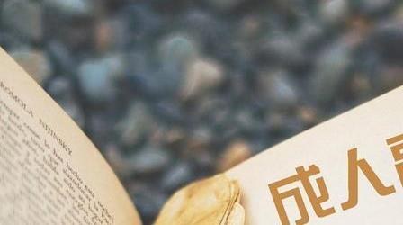 成人高考女生报考什么专业好？有什么专业介绍？