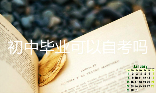 初中毕业可以自考吗