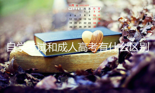 自学考试和成人高考有什么区别