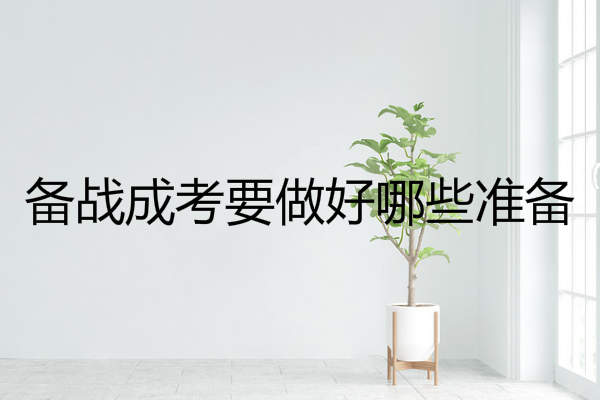 备战成考