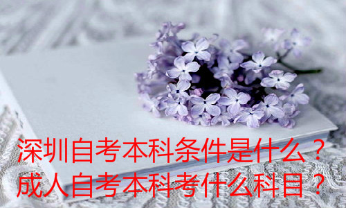经验：自考本科要考多久，几年能考完？怎么报名？