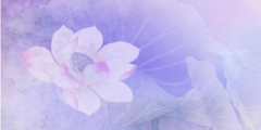 自考本科哪个机构好一点？