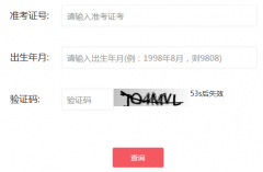 成人高考成绩查询时间是什么时候