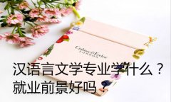 汉语言文学专业学什么？就业前景好吗？