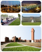 20年 郑州大学 秋季专升本考试 报名啦！