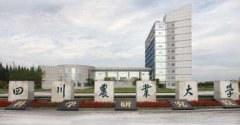 2020年四川农业大学成人高考招生简章