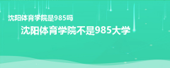 沈阳体育学院是985吗