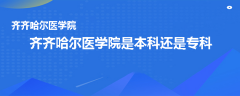 齐齐哈尔医学院是本科还是专科